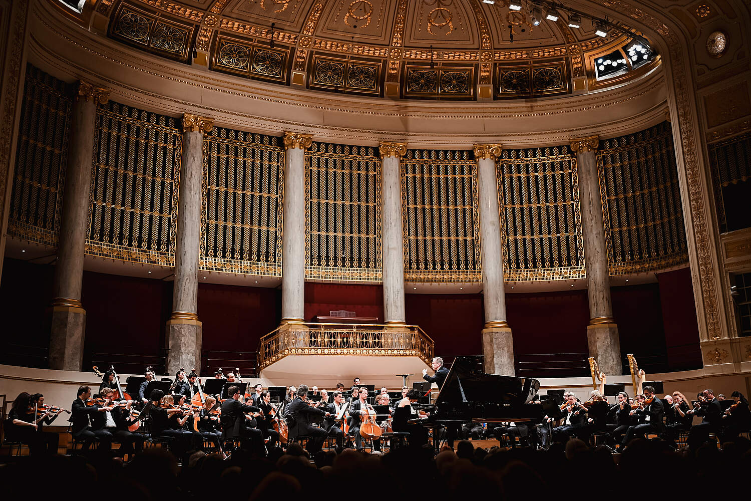 © Amar Mehmedinovic