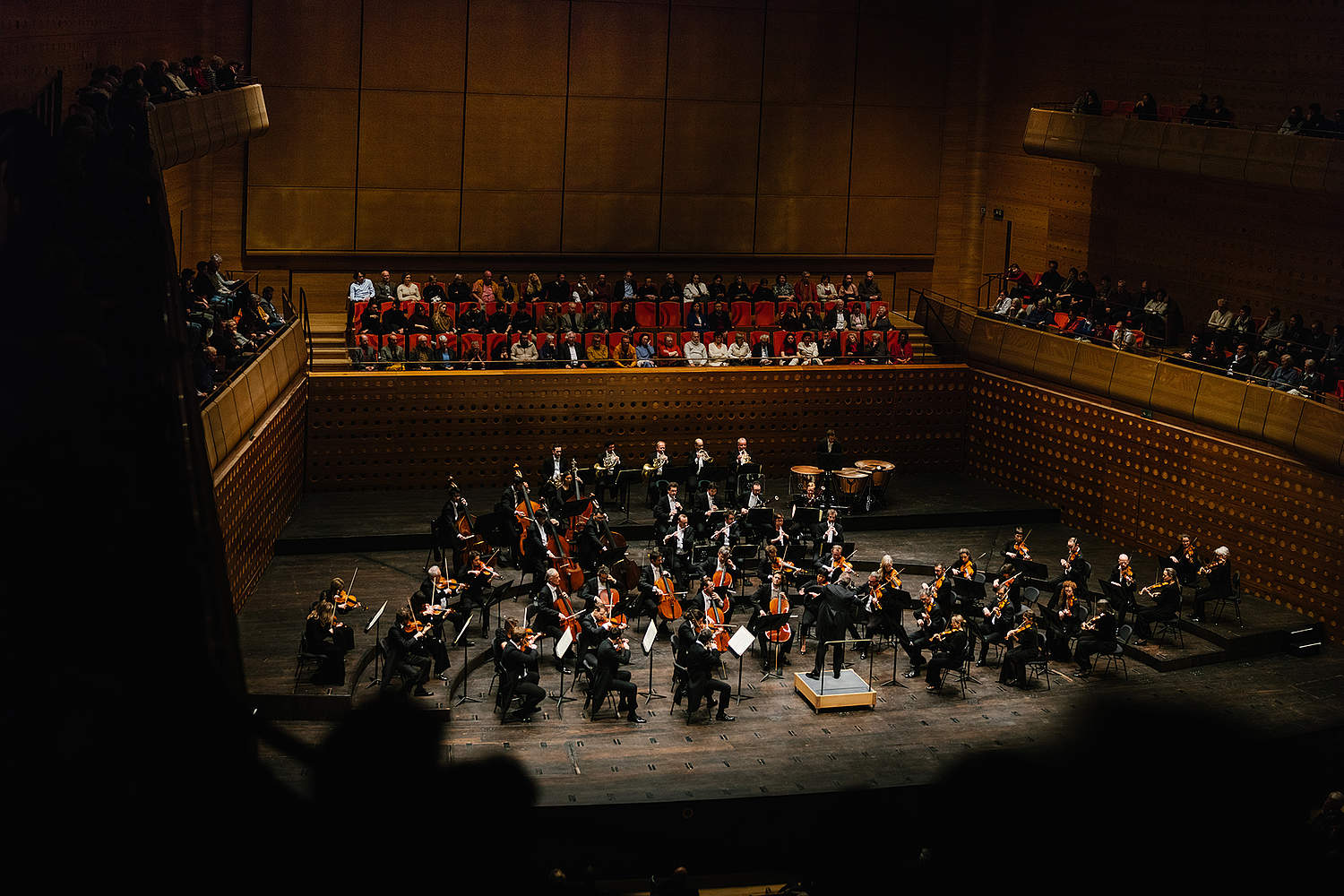 © Jesse Willems / Antwerp Symphony Orchestra